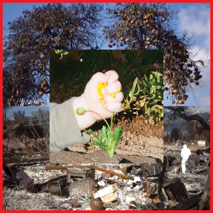 🎶 sene başında gerçekleşen los angeles yangınlarından büyük zarar gören diiv, orada yaşananları unutmadı ve bir şarkı olarak karşımıza çıktı: return of youth 
open.spotify.com/album/0rBtZug6…