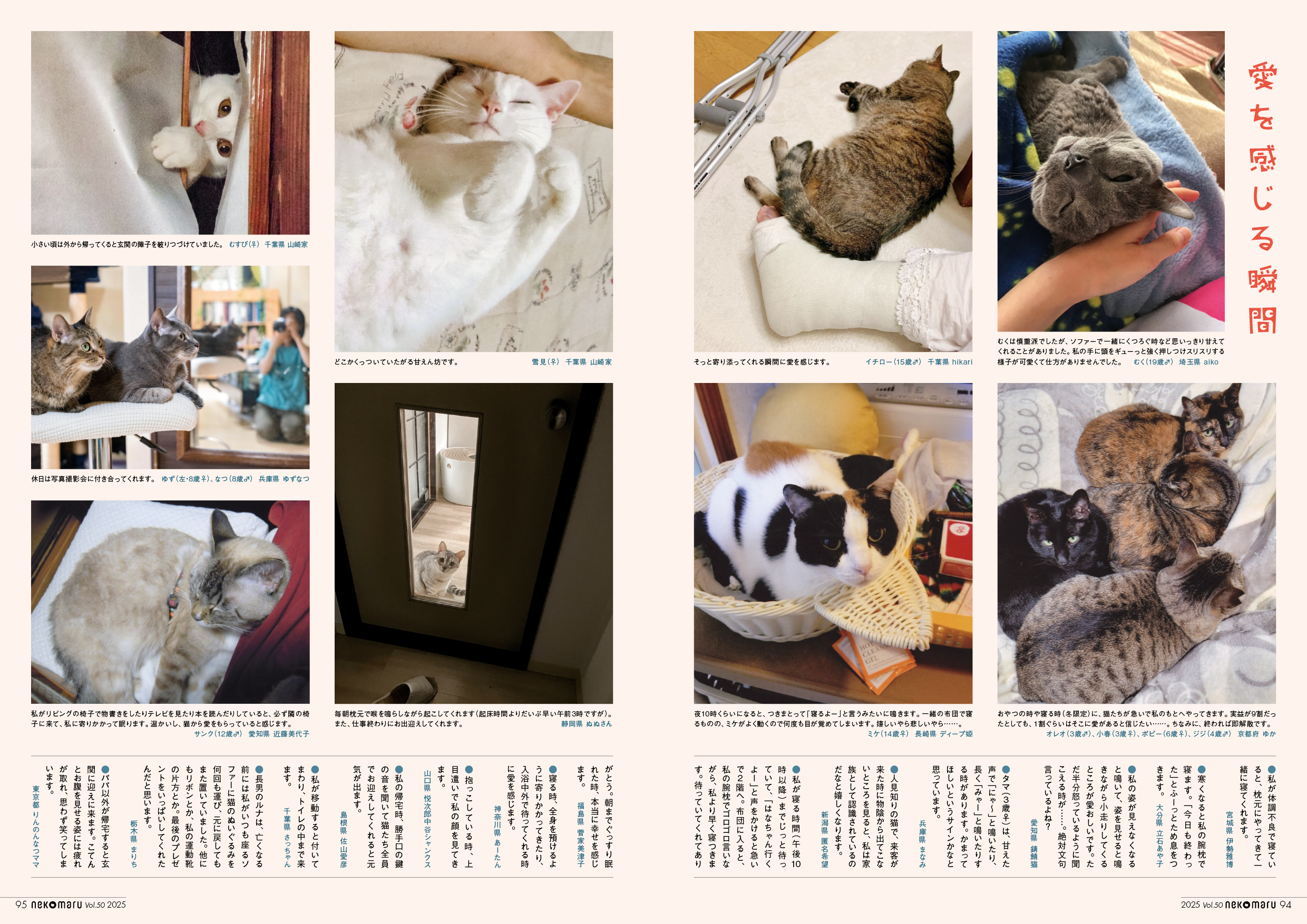 猫びより＠『猫びより』春号発売中！ (@nekobiyori_jp) / X