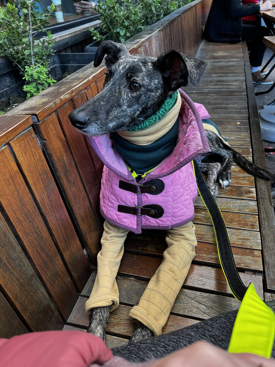 Lucia Victoria tweet media