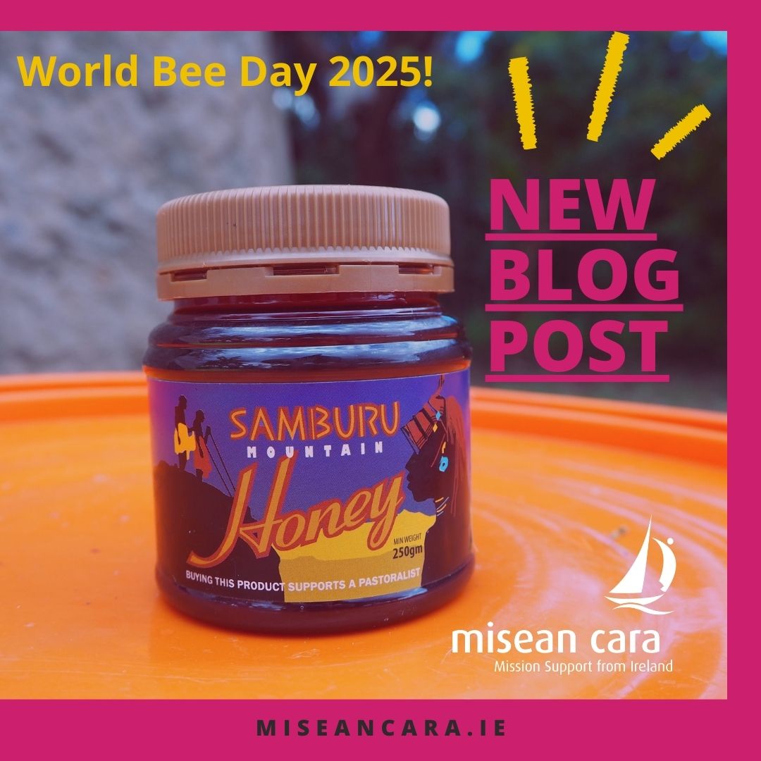 #WorldBeeDay 
@MiseanCara Project Officer Tom Carroll shares on the many connections and contributions of bees (and other pollinators) to sustainable development practice and building resistance to climate change in vulnerable communities. ➡️tinyurl.com/mc9mrp7r