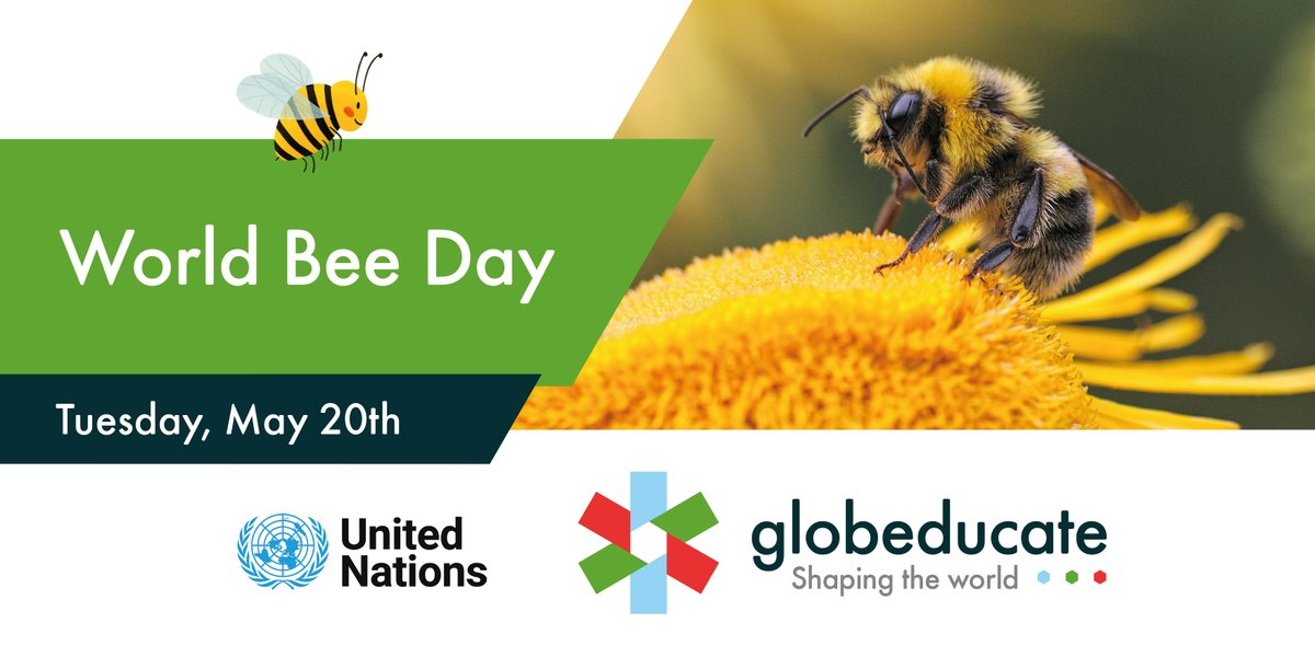 Globeducate (@globeducate) on Twitter photo Today is <a href="/UN/">United Nations</a> #WorldBeeDay 🐝 – our students are buzzzy learning why bees and other pollinators matter so much. Read more about our Globeducate Agenda.
hubs.ly/Q03ngMJP0
#WorldBeeDay #SustainabilityInSchools #UNSDGs #GlobeducateAgenda #EducationForChange Today is <a href="/UN/">United Nations</a> #WorldBeeDay 🐝 – our students are buzzzy learning why bees and other pollinators matter so much. Read more about our Globeducate Agenda.
hubs.ly/Q03ngMJP0
#WorldBeeDay #SustainabilityInSchools #UNSDGs #GlobeducateAgenda #EducationForChange