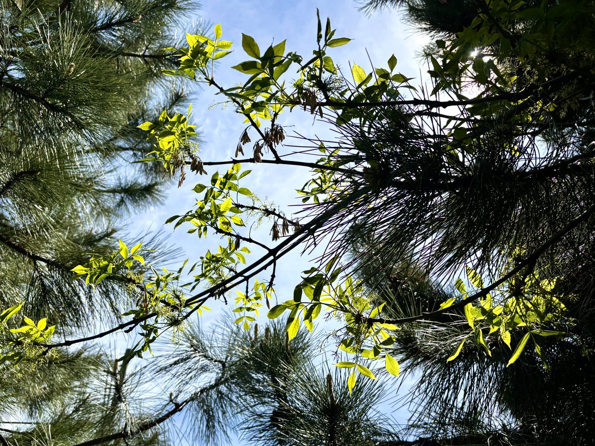 Mark Fagiano (@mark_fagiano) on Twitter photo 