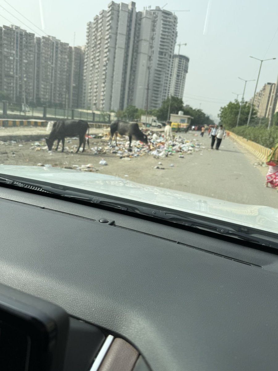 Avinash1J94018's tweet image. Is Noida really shining ? These are the images infront of IVY county, sector-75. My humble request to authority to check the quality of vendor engaged for cleaning in sector 75 &amp;amp; sector 74. Quality of their work is inferior compare to other sectors. @noida_authority @CeoNoida