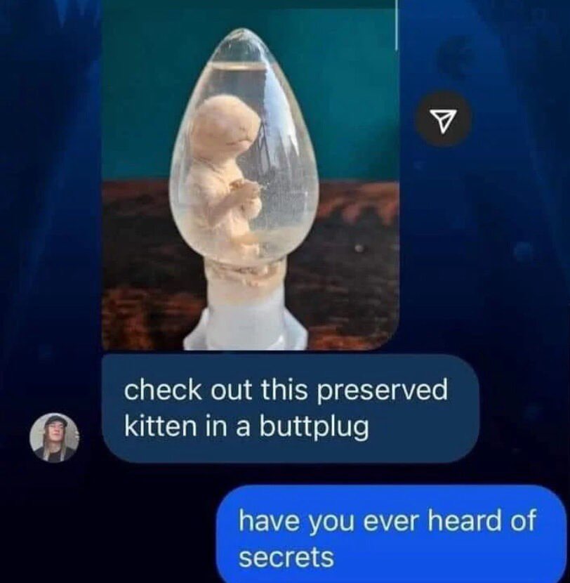 Hover Cat tweet media