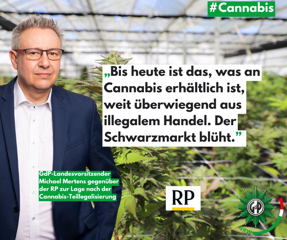 „Es gibt weniger #Cannabis-Fälle, aber mehr organisierte Kriminalität“, sagte GdP-Landeschef Michael Mertens der <a href="/RheinischePost/">Rheinische Post</a>.

Bericht (+Artikel): rp-online.de/nrw/landespoli…

#Gdp #NRW #Polizei #Rauschgift #BTM