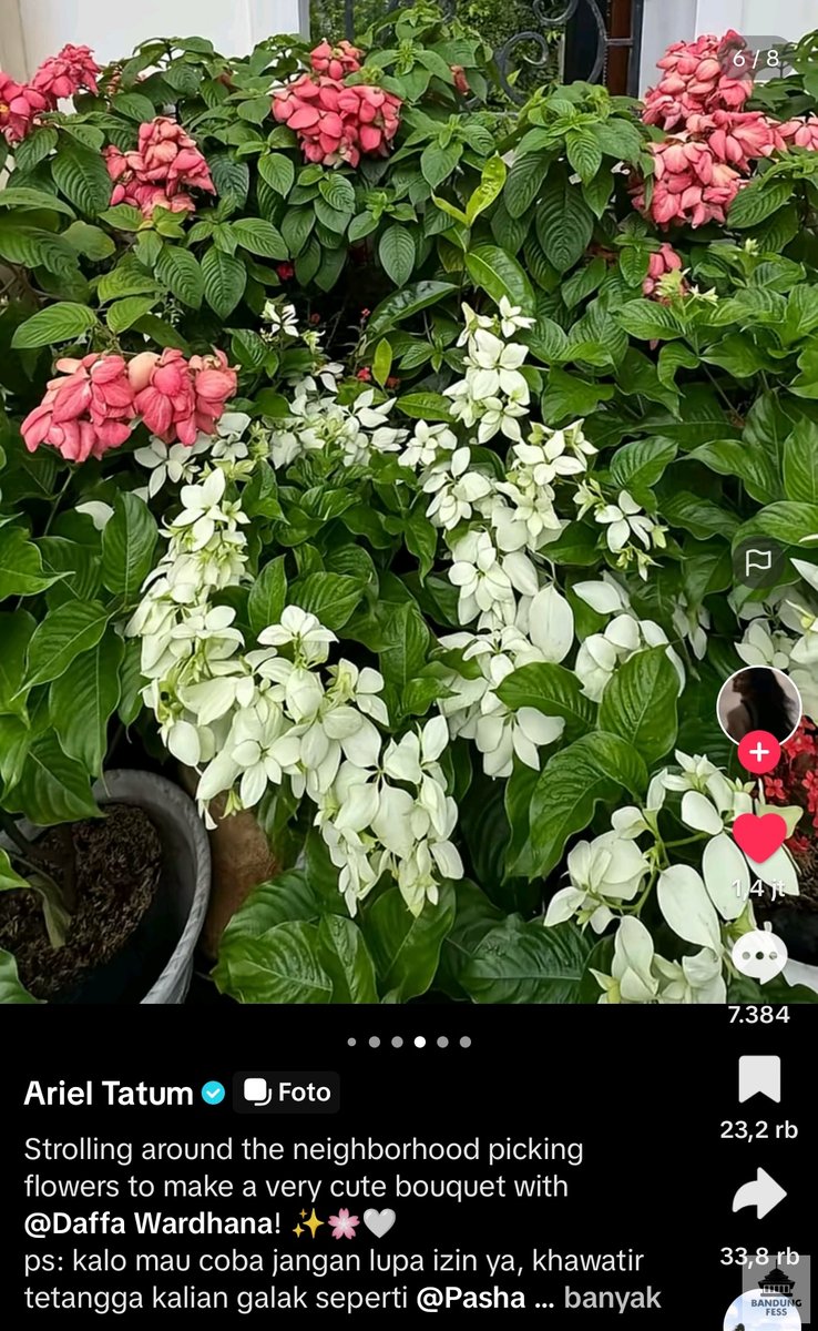 BANDUNG FESS | Kirim menfess cek 📌 tweet media