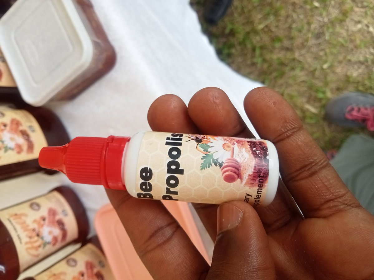 Siraje Ssengendo (@sirajessengendo) on Twitter photo Celebrating the words bees day,These are partners with crops for Food security. These sustain our food systems <a href="/MAAIF_Uganda/">MAAIF 🇺🇬</a> <a href="/FAOUganda/">FAO in Uganda</a> <a href="/TUNADO_Bees/">TUNADO</a> <a href="/jcniyomugabo/">Jean Claude NIYOMUGABO</a> <a href="/DrRwamiramaBK/">Hon. Rwamirama Bright Kanyontore</a> <a href="/narouganda/">NARO Uganda</a> Celebrating the words bees day,These are partners with crops for Food security. These sustain our food systems <a href="/MAAIF_Uganda/">MAAIF 🇺🇬</a> <a href="/FAOUganda/">FAO in Uganda</a> <a href="/TUNADO_Bees/">TUNADO</a> <a href="/jcniyomugabo/">Jean Claude NIYOMUGABO</a> <a href="/DrRwamiramaBK/">Hon. Rwamirama Bright Kanyontore</a> <a href="/narouganda/">NARO Uganda</a>