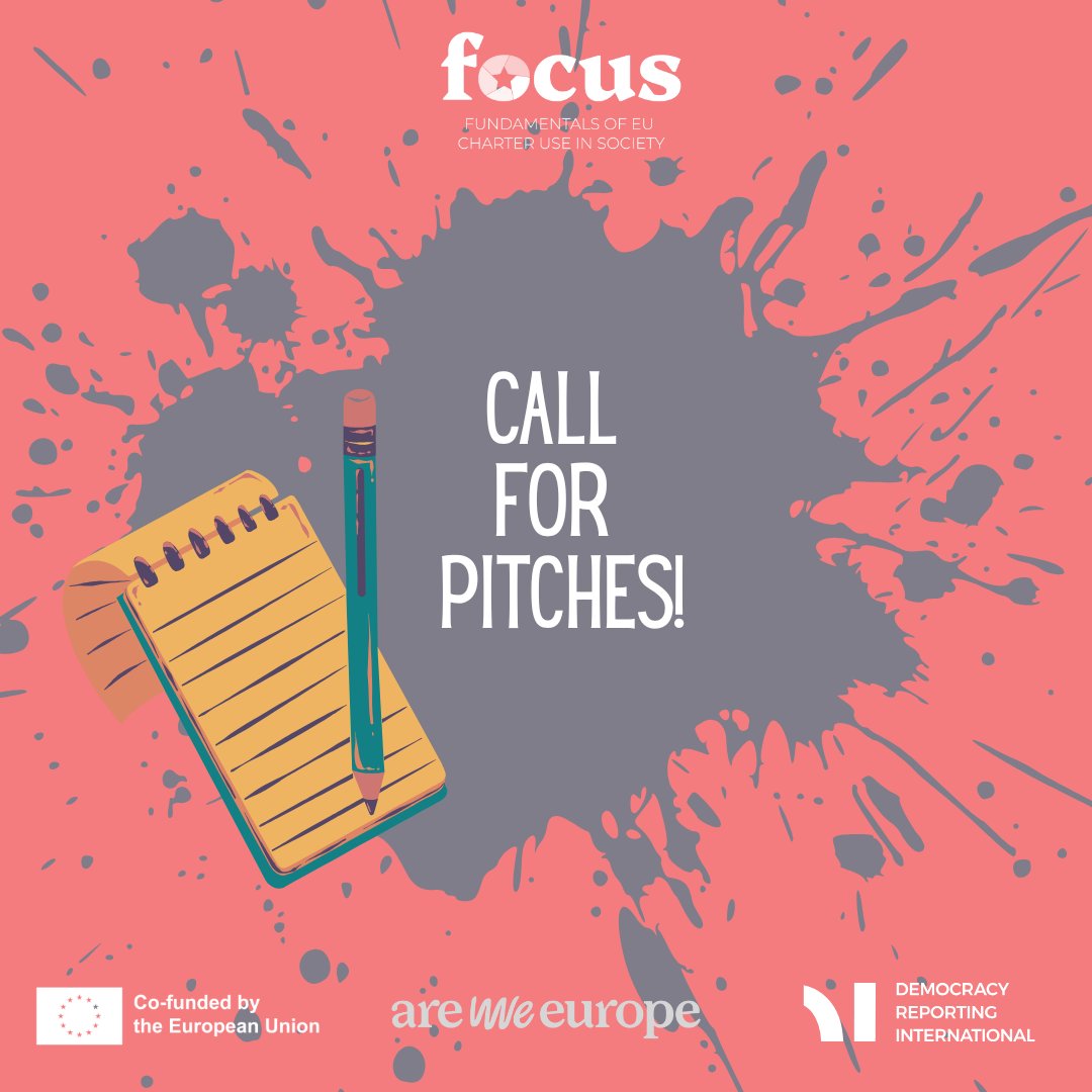 Democracy Reporting International tweet media