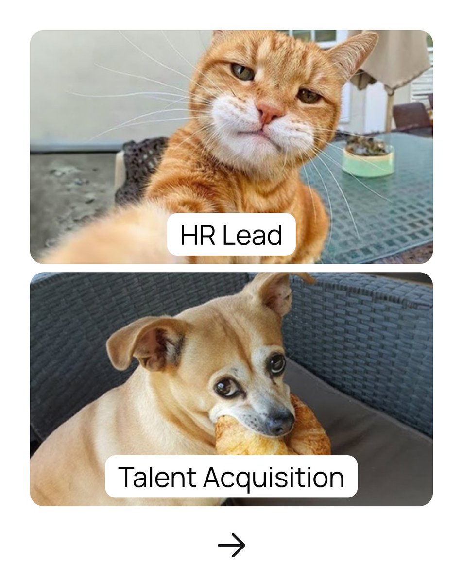 ProjectFitter_'s tweet photo. 🌟 Happy #HRDay to the people behind the teams &amp; tools!

Whether you're in HR, TA, #Recruitment, or #PeopleOps — you keep the culture strong, the teams growing, and the chaos organized ✨

💖 Wishing you more proud moments, and the satisfaction of knowing you make a difference. https://t.co/qFMNVjNNgO