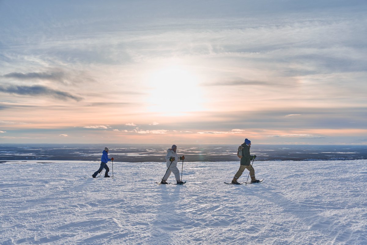 Nell'inverno 2025/2026, <a href="/Finnair/">Finnair</a> aumenterà i voli per la Lapponia: fino a 72 voli settimanali per #Rovaniemi, 41 per #Kittilä e 33 per #Ivalo
#finnair #lapponia 
bit.ly/43BfLEt