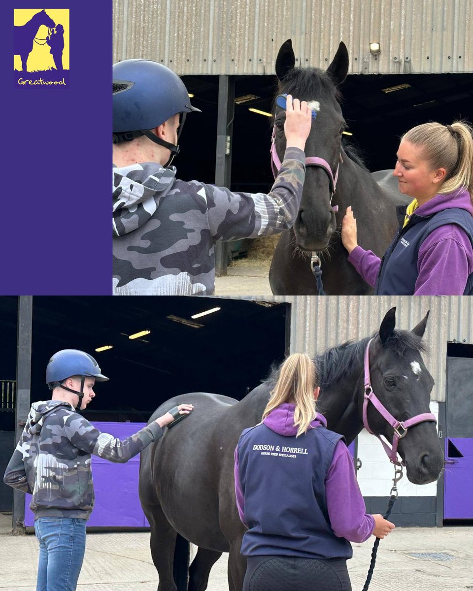 Greatwood Charity (@greatwoodhorses) on Twitter photo It's #GoodNewsTuesday and we're delighted to share that the wonderful Farouk de Cheneau is now an integral part of our Animal Assisted Intervention programmes and is very much enjoying working with our amazing learners <a href="/ownersgroupuk/">Owners Group</a>
greatwoodcharity.org It's #GoodNewsTuesday and we're delighted to share that the wonderful Farouk de Cheneau is now an integral part of our Animal Assisted Intervention programmes and is very much enjoying working with our amazing learners <a href="/ownersgroupuk/">Owners Group</a>
greatwoodcharity.org