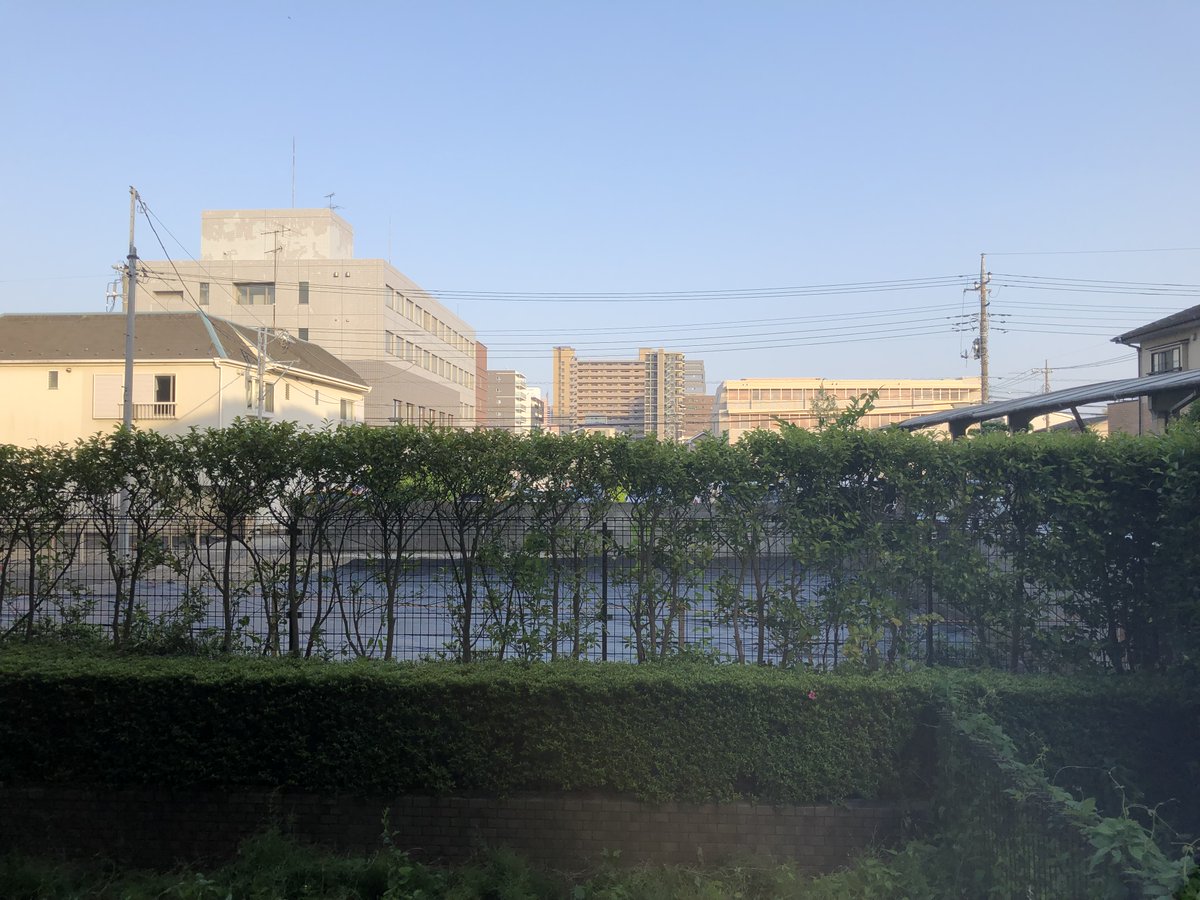 MartinKakuya's tweet photo. 窓の外の家が無くなった。
正面の区画が駐車場なので建物が無く見晴らしが凄く良い。

だけど生け垣のスカスカ感が目立つなぁ。 https://t.co/ZBmWIXjQvD