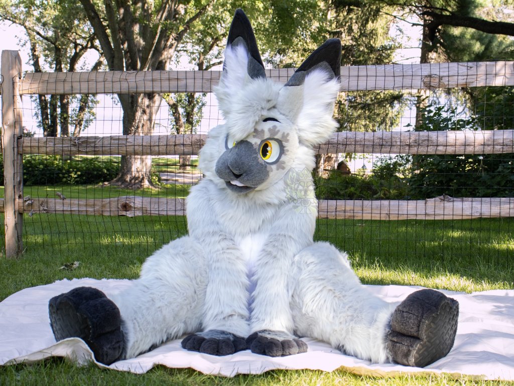 New #fursuit review:
[YES] Dhaxan the Arctic Hare by @28ghostiez

Read it here:
fursuitreview.com/r/yes-dhaxan-t…
