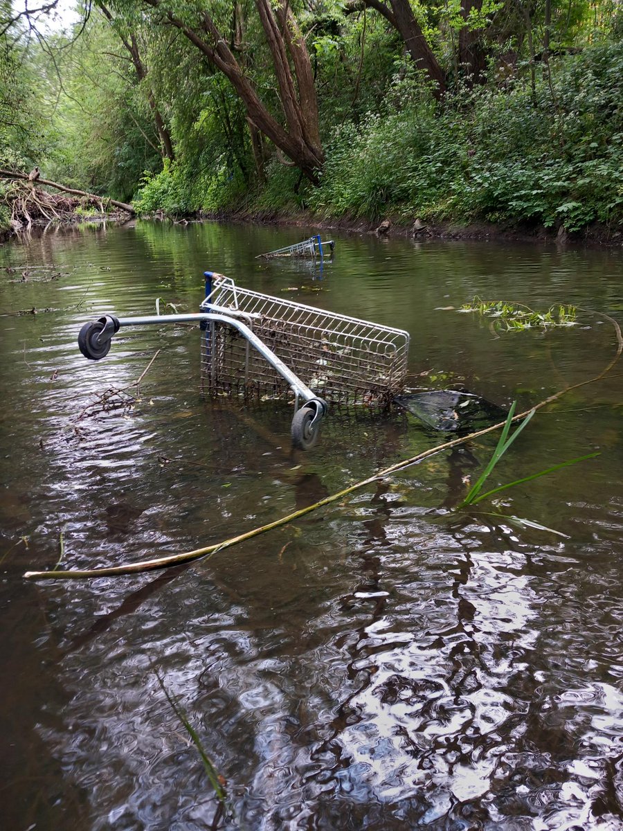 Trolleywise's tweet image. Another waterway cleared! 🛒💪 Another great example of Trolleywise working with local authorities and responsible retailers. 👏We had great engagement with the store and a lot of appreciation by local residents – now the river Avon in Rugby is looking exactly as we like it! ✨🥳
