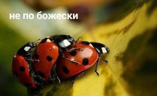 behbet1's tweet photo. @ZemanLynnZ https://t.co/33oNuHF03d