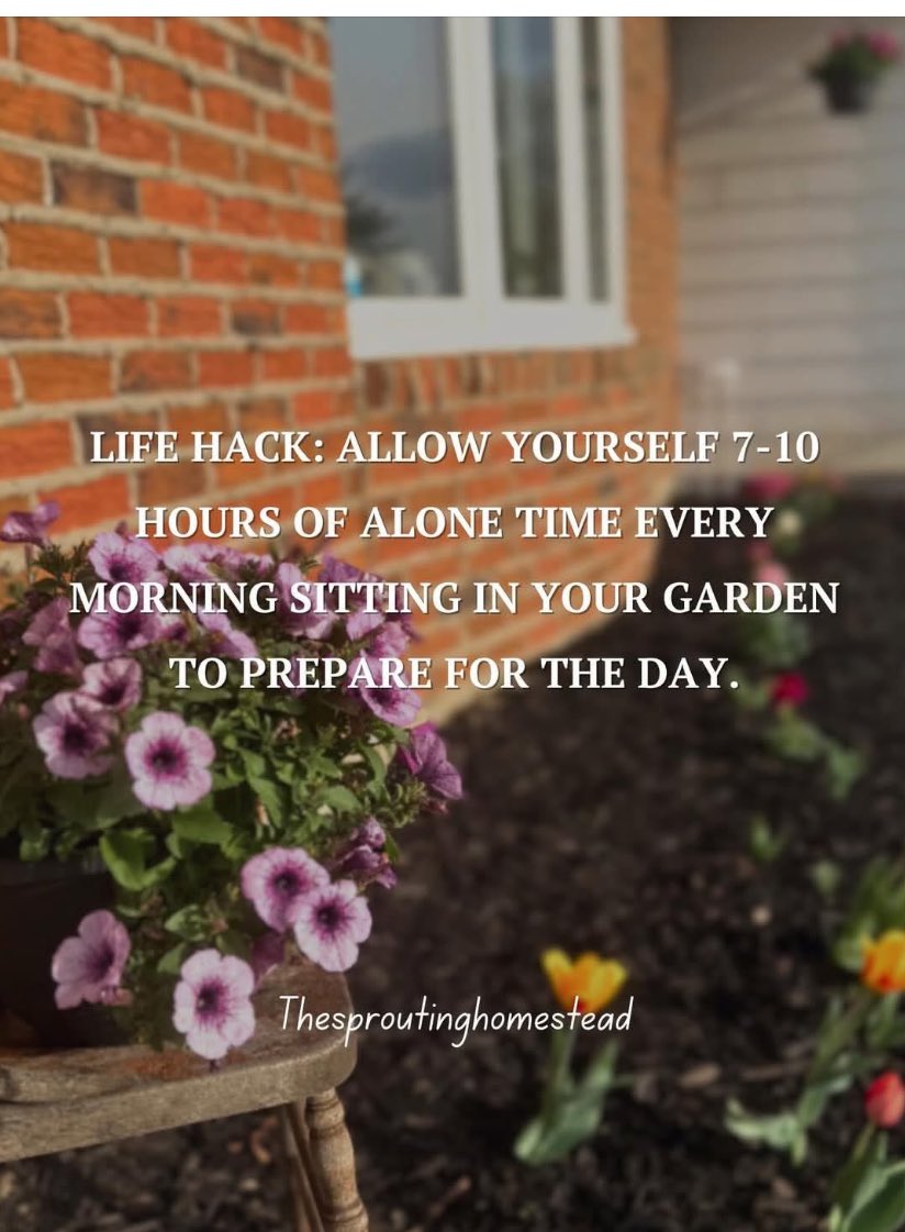 jocelyn risso tweet media