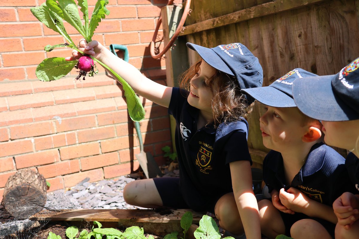 St. Mary's Prep tweet media