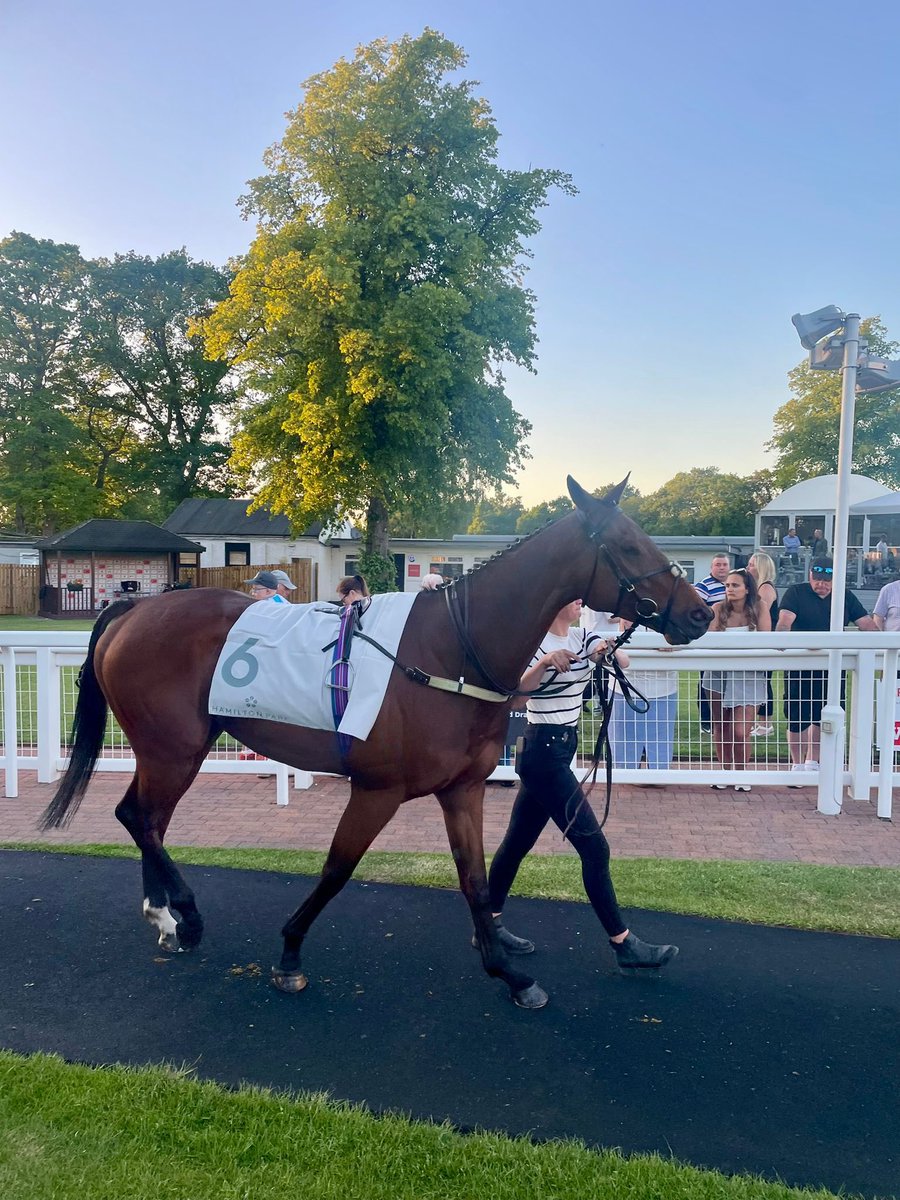 Let's Be Lucky Racing (@lbl_racing) on Twitter photo All the best pictures from Ignac Lamar’s great win at <a href="/HamiltonParkRC/">Hamilton Park</a> on Friday night! We still have 2.5% available! Email - LBLhorses@gmail.com. <a href="/JimGoldieRacing/">Jim Goldie Racing</a> All the best pictures from Ignac Lamar’s great win at <a href="/HamiltonParkRC/">Hamilton Park</a> on Friday night! We still have 2.5% available! Email - LBLhorses@gmail.com. <a href="/JimGoldieRacing/">Jim Goldie Racing</a>