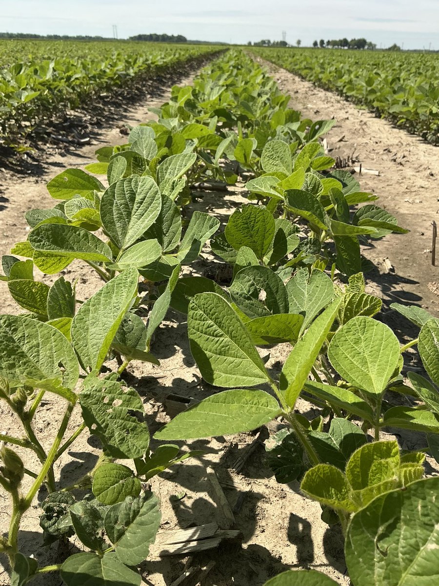 Jason Rudick tweet media