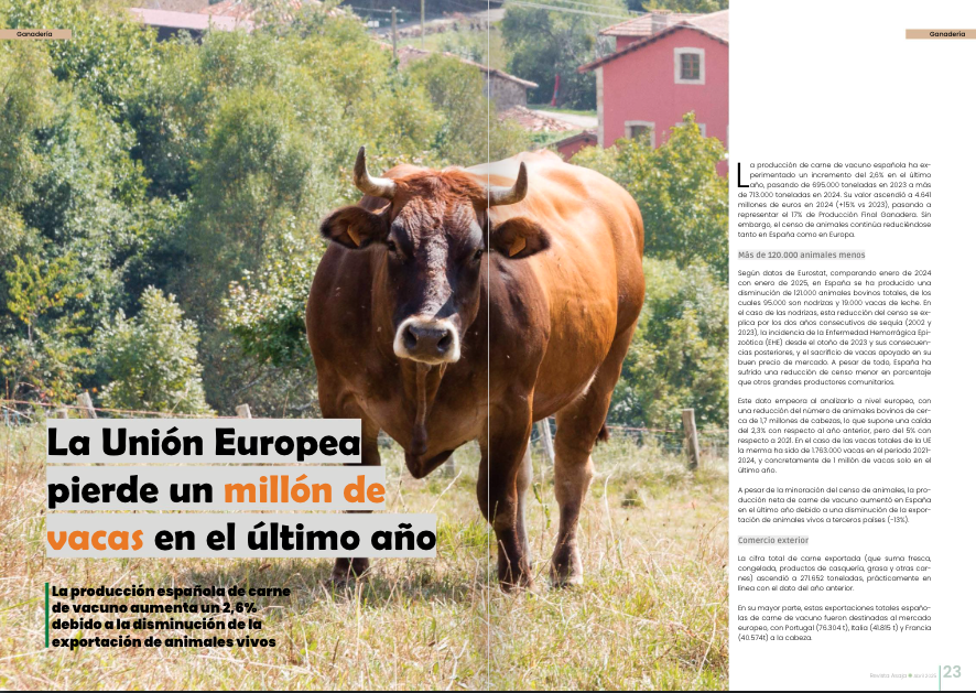 AsajaNacional's tweet image. 🐮 ¿Por qué hay menos vacas en Europa?
➡️ Enfermedades, costes y normas restrictivas reducen el censo ganadero.
📈 España crece un 2,6% en carne de vacuno.
📲 calameo.com/read/002859422…
#Vacuno