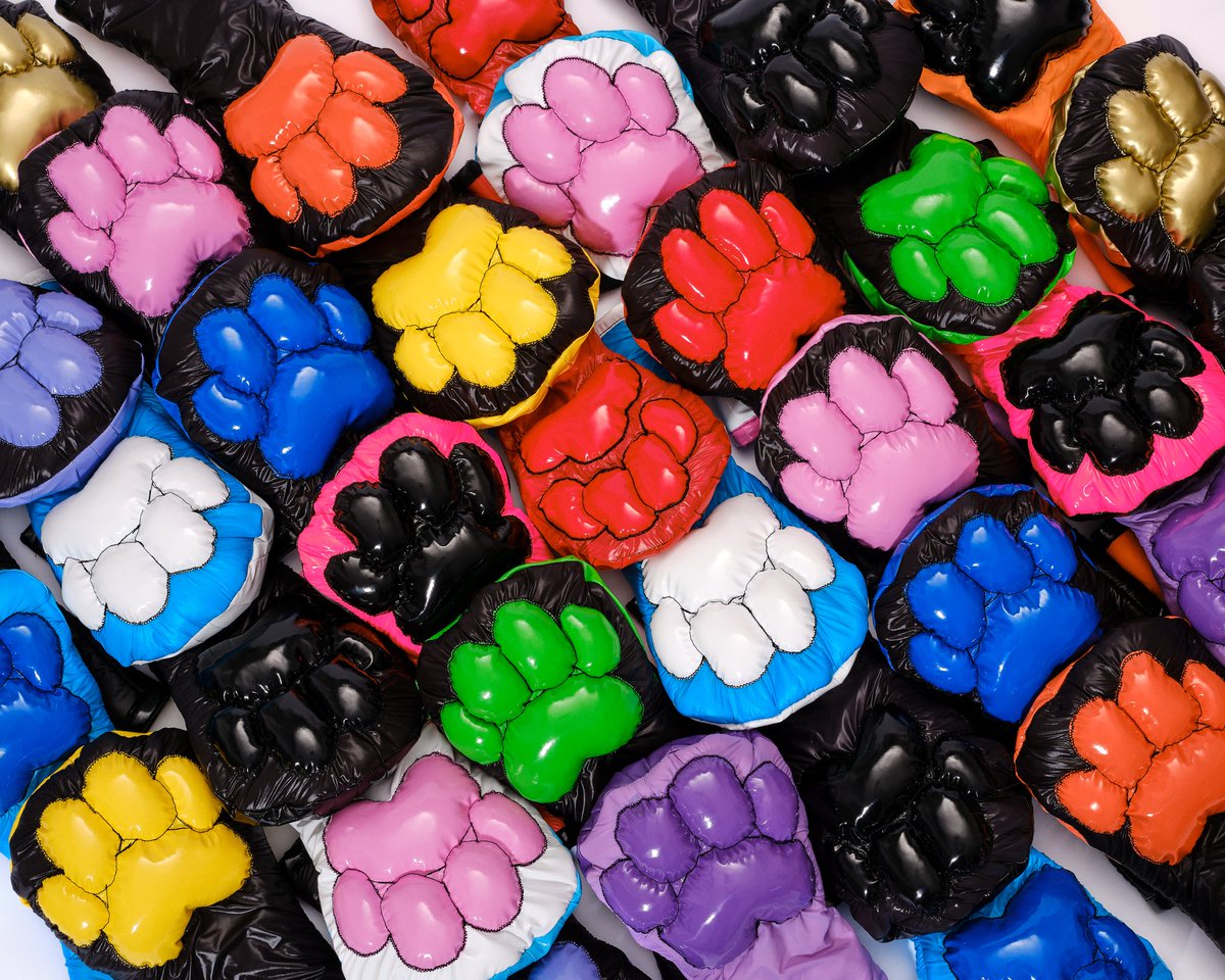 Paw day you say? 
I've got a few of those! 

📸: <a href="/BrandyTheWuff/">🐾 Brandy 🐾</a>