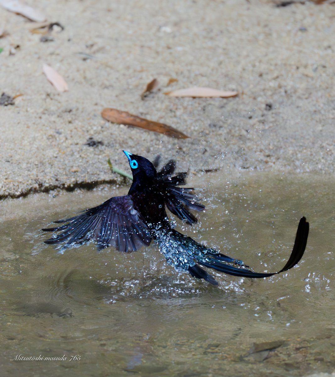 mm765【なむこ】-増田光俊- tweet media