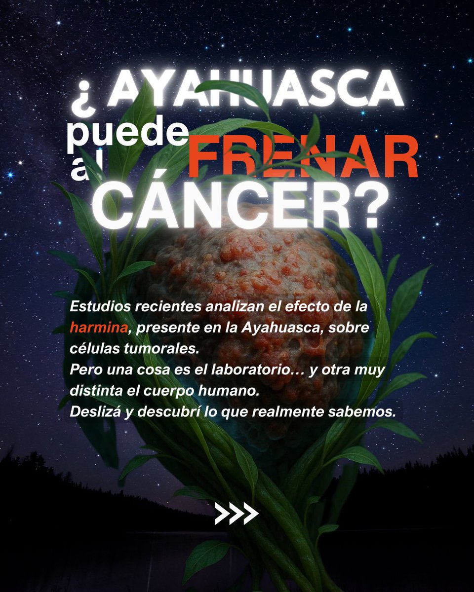 La ciencia empieza a estudiar en serio los alcaloides del yagé. Entre ellos, la harmina muestra efectos prometedores en laboratorio: apoptosis, bloqueo tumoral, regulación epigenética.
Artículo de Gustavo Bergoglio publicado en Casa Hoaska.
plantaforma.org/ayahuasca-ayud…