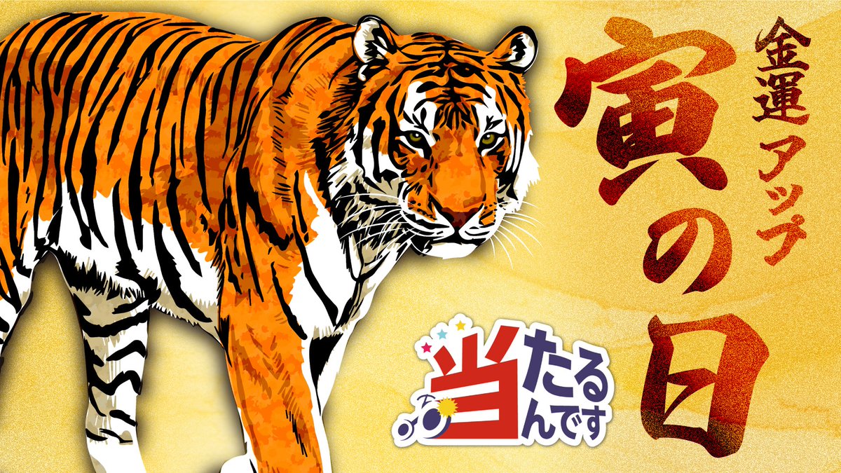 🔴2025年5月21日(水)の開運日🔴 本日は・・寅の日🐯 「金運招来日