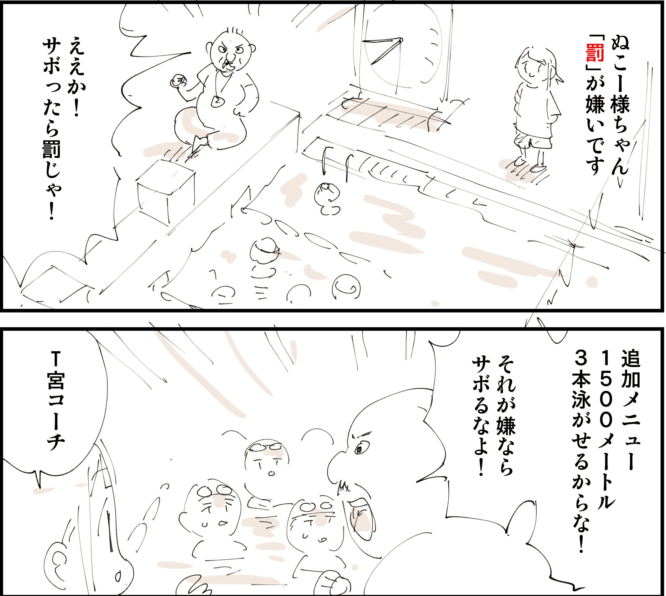 ぬこー様ちゃん@ロードバイク狂 on X: 