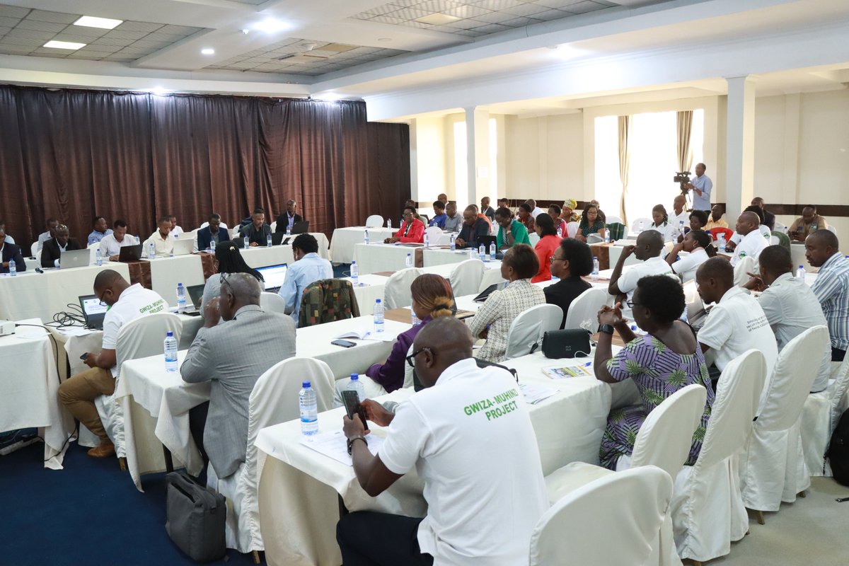 IITA Rwanda (@iitarwanda) on Twitter photo A 2-day #cassava value chain workshop kicks off in #Rwanda! Funded by <a href="/EUinRW/">EU Delegation to Rwanda</a>, it brings together all EU cassava projects including #GwizaMuhinzi by <a href="/INGABOSYNDICAT1/">INGABO Syndicate</a> & <a href="/IITARWANDA/">IITA Rwanda</a>, with govt, private sector, development & research actors to address challenges and boost production A 2-day #cassava value chain workshop kicks off in #Rwanda! Funded by <a href="/EUinRW/">EU Delegation to Rwanda</a>, it brings together all EU cassava projects including #GwizaMuhinzi by <a href="/INGABOSYNDICAT1/">INGABO Syndicate</a> & <a href="/IITARWANDA/">IITA Rwanda</a>, with govt, private sector, development & research actors to address challenges and boost production