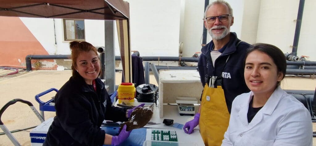bluenetcat's tweet photo. 🔵 La #col·laboraciópúblicoprivada i la #RDi són clau per avançar cap a una aqüicultura + eficient 🌱🐟 @irtacat (membre de @bluenetcat ) i @seaeightaqua uneixen forces per millorar la reproducció del #llenguado amb tecnologia IRTAmar 💡
📎https://t.co/1ExXtLW6Q7
#InnovacióBlava #Transferència #RecercaMarina #EconomiaBlava #BlueNetCat