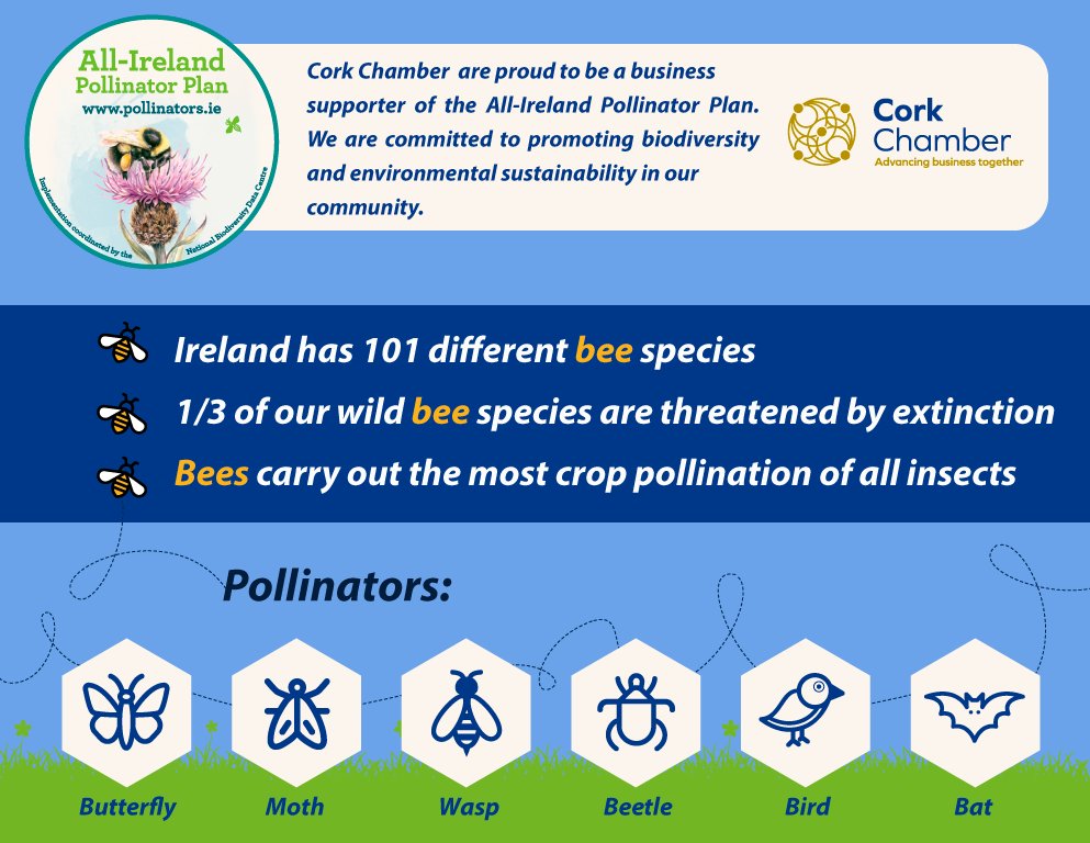 Happy World Bee Day! At Cork Chamber, we're buzzing with pride to support the All-Ireland Pollinator Plan, as a committed business champion for biodiversity! 
Together, let’s create a more bee-friendly Cork and a greener future! pollinators.ie
#worldbeeday #SDGChampions