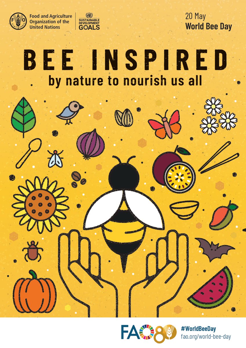 🌍🐝 It’s World Bee Day – and we’re buzzing with excitement! 🐝🌼
 May 20 is a time to honour the tiny pollinators that make a big difference to our ecosystems and food systems. 🌸🍯
 Bees are vital for biodiversity, crop production, and the planet – but they’re under threat.
🌟