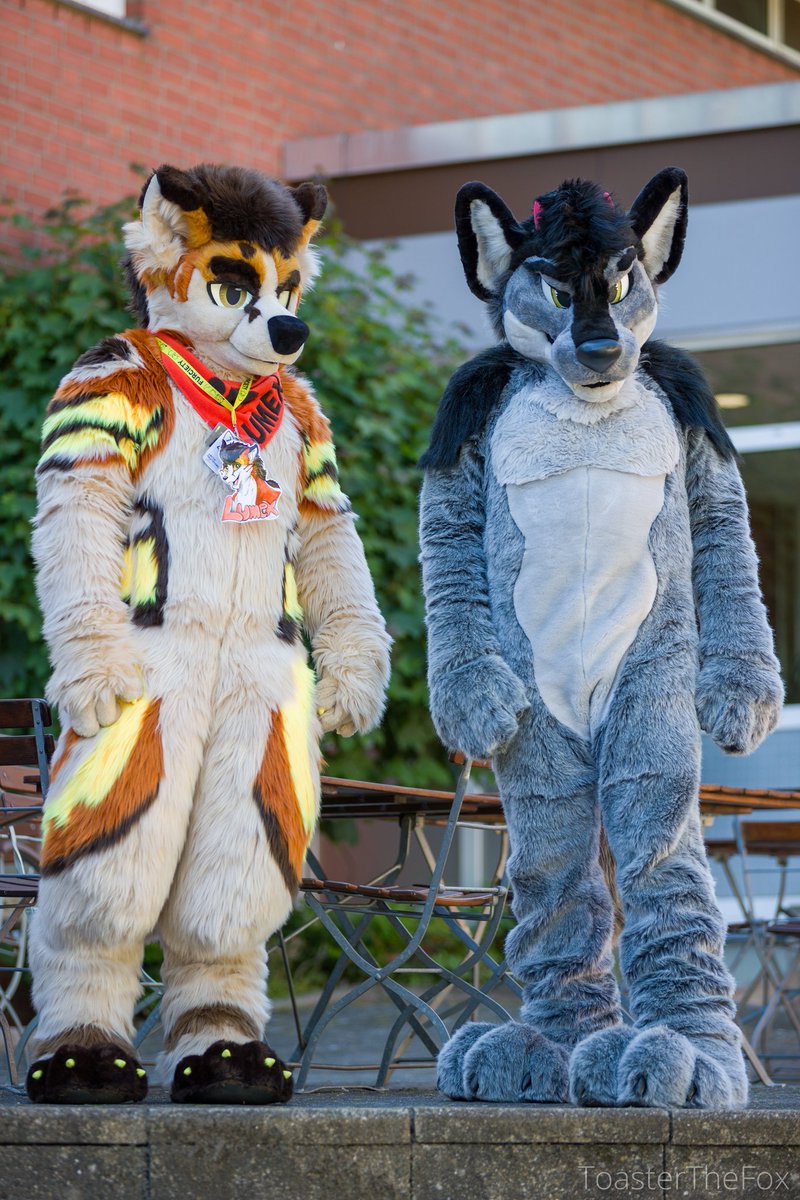 I found a Lumex at <a href="/FurcietyD/">Furciety</a>. Can I keep him?

📸 <a href="/ToasterTheFox/">Toaster The Fox</a>