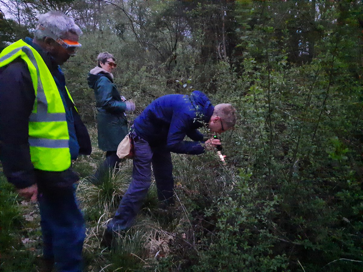 Butterfly Conservation 🦋 (@savebutterflies) on Twitter photo We were pleased to be joined by BBC South Today as we surveyed for the elusive Black Hairstreak at Bernwood Meadows with the help of UV light 🔦
Catch Conservation Manager Steven Lofting and the <a href="/BBOWT/">BBO Wildlife Trust</a> team talking about this new technique (from 20:10) 👉 bbc.co.uk/iplayer/episod… We were pleased to be joined by BBC South Today as we surveyed for the elusive Black Hairstreak at Bernwood Meadows with the help of UV light 🔦
Catch Conservation Manager Steven Lofting and the <a href="/BBOWT/">BBO Wildlife Trust</a> team talking about this new technique (from 20:10) 👉 bbc.co.uk/iplayer/episod…