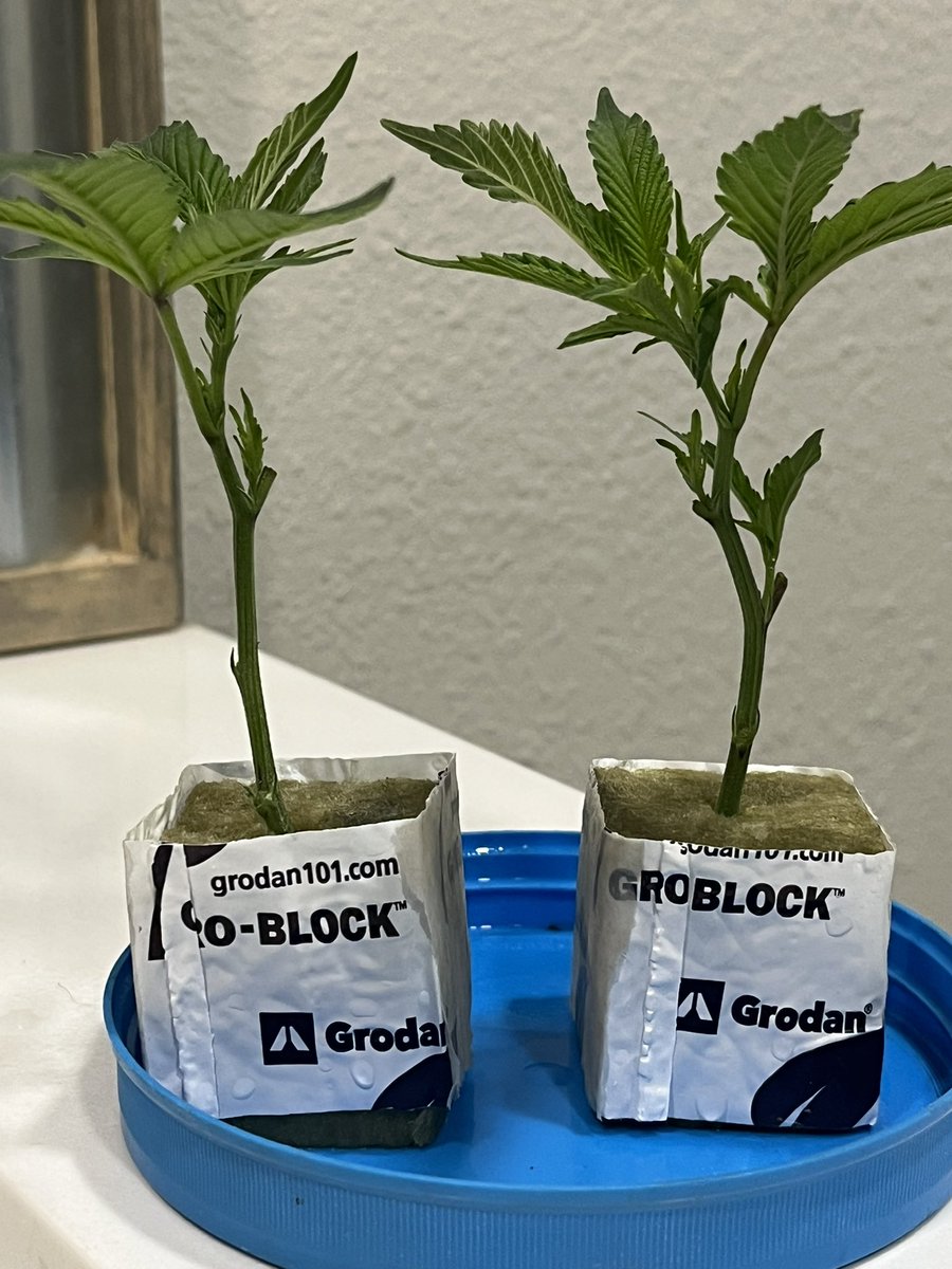 distributethewealth tweet media