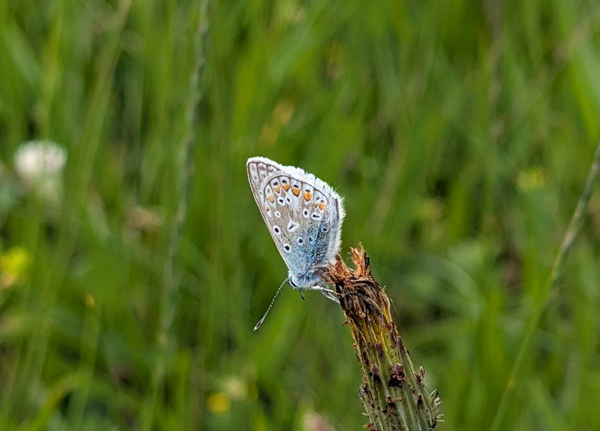 Sandhill House Country Retreat tweet media