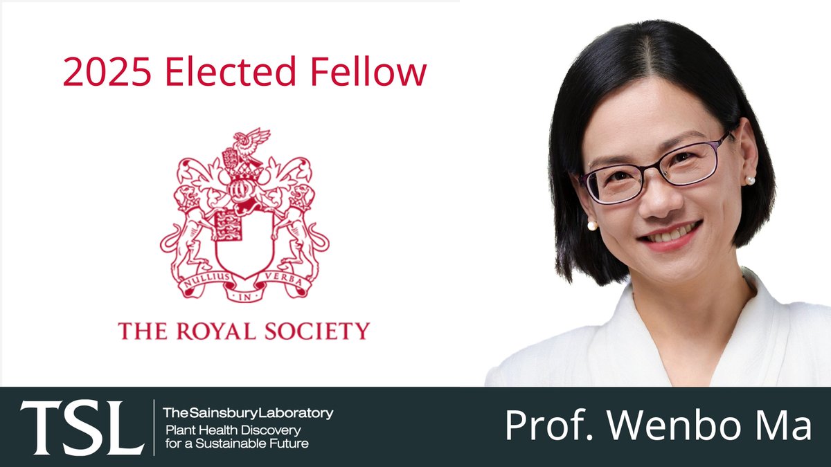 The Sainsbury Laboratory (@thesainsburylab) on Twitter photo We are delighted to announce that TSL group leader, Professor Wenbo Ma <a href="/wenboEffector/">Dr. Wenbo Ma</a>, has been elected a Fellow of the Royal Society. This honour celebrates her groundbreaking research in molecular plant pathology. We are delighted to announce that TSL group leader, Professor Wenbo Ma <a href="/wenboEffector/">Dr. Wenbo Ma</a>, has been elected a Fellow of the Royal Society. This honour celebrates her groundbreaking research in molecular plant pathology.