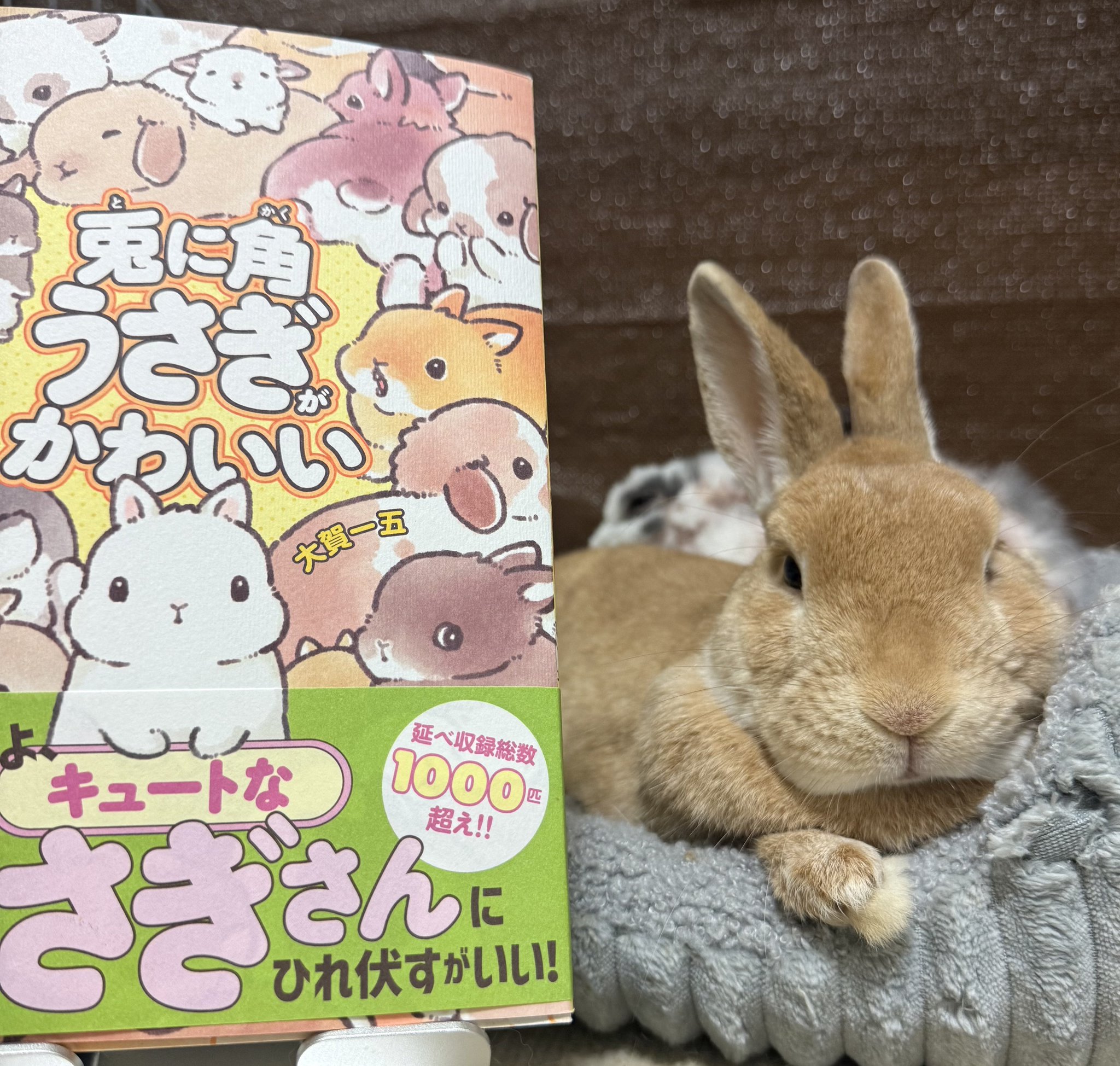 GrYh2HNbwAAIp4_.jpg:large