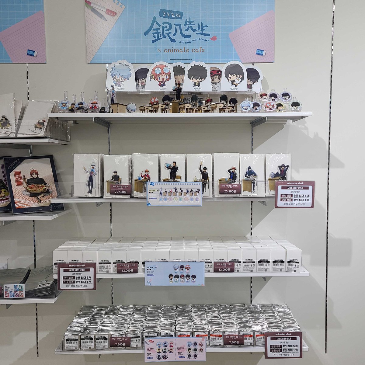 animate cafe 잠실롯데점 tweet media