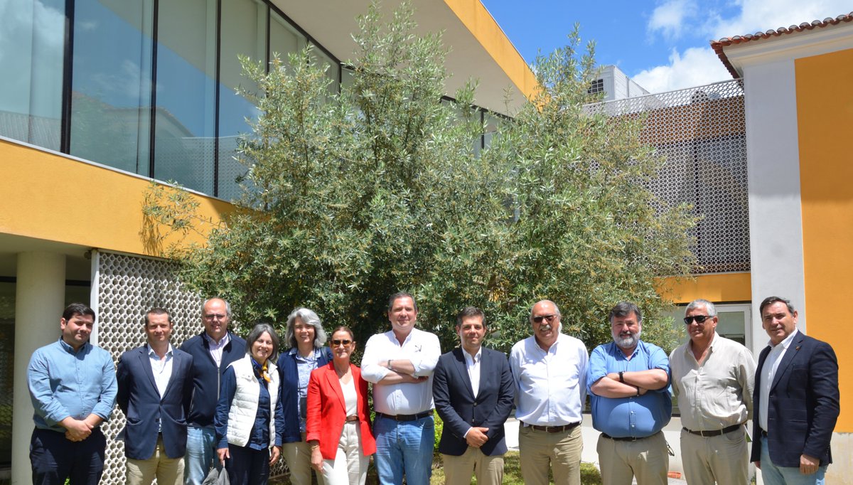 ✍️ #CONFAGRI ASSUME DIREÇÃO DA AIFO

📍 Decorreu ontem a Assembleia-Geral da AIFO (Associação Interprofissional da Fileira Olivícola), onde foram eleitos os novos órgãos sociais para o triénio 2025-2028. 

👉 Saiba mais em confagri.pt/confagri-assum…

#ConnoscoCrescePortugal