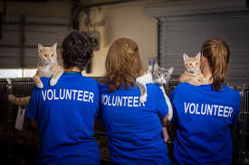 RbbProject's tweet photo. Ever thought about volunteering but not sure where to start? Reach out to a local animal charity. They’ll guide you, and you’ll make new furry friends along the way!
#VolunteerBolton #GiveBack #AnimalCare https://t.co/vgHt4EIoso