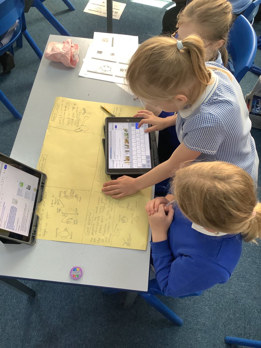 Class Nightingale have been researching the plant lifecycle ready for their big write this week 🪴