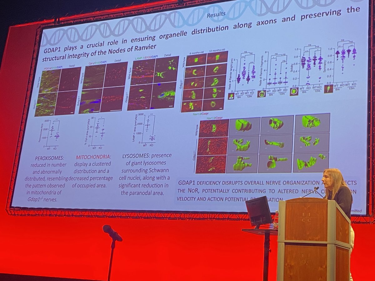 Palau & Hoenicka GenomicScientia-Lab tweet media