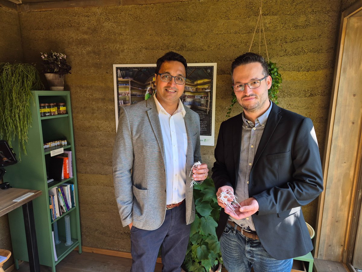 RabhoRoot's tweet image. At RHS Chelsea Flower Show with Tino Colombi showcasing pigeon pea root work at Nottingham. Thanks to Gates Foundation and Hounsfiled facility at Nottingham to make this happen.