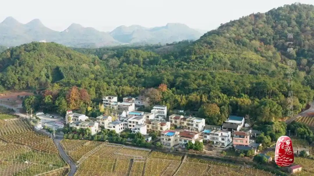 Envo_CN's tweet photo. 🌿她是Envo的天使引路人
📚是985高校的副教授
💪也是从桂北山村一路走出来的独立女性
童年放牛、夜市摆摊、股市沉浮、再到成为Web3布道者——她的人生，就是一部逆风翻盘的传奇。如今，她在Envo继续书写故事，用热爱与信仰连接下一个时代的数字自由。
💫Envo人物志·520特别呈现：走进她的原乡与信仰 👇
https://t.co/4vyTMFq65M

#Envo #Web3女性力量 #人物志 #520特别企划 #SocialFi