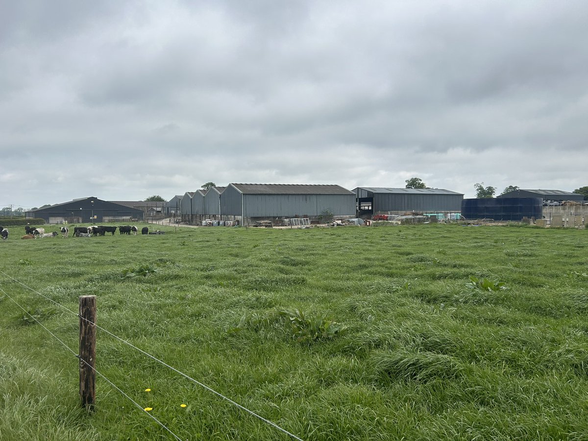 📍Teagasc Grange