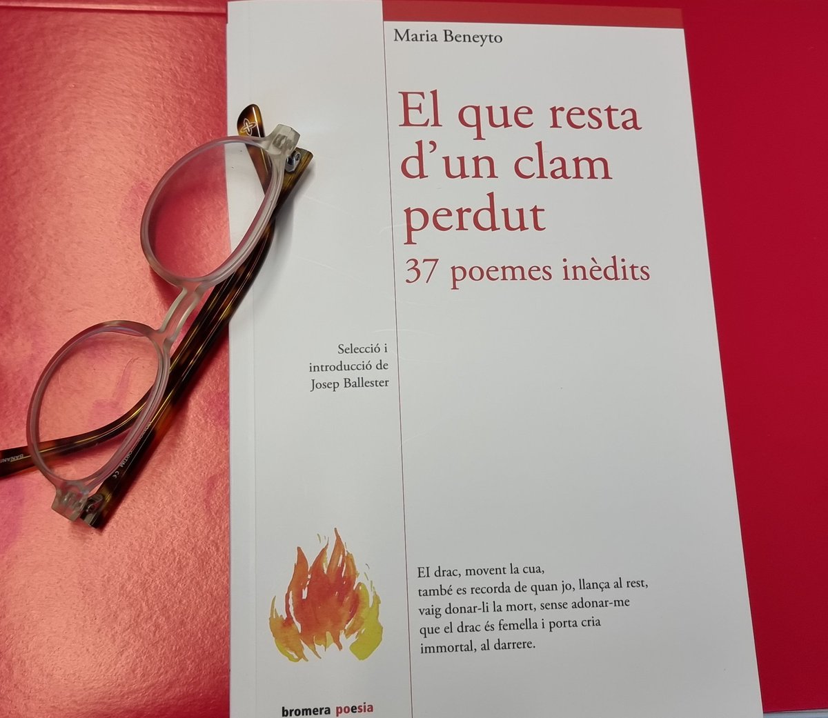 Mireu quina cosa
més guapa
m'acaba d'arribar!!

#MariaBeneyto