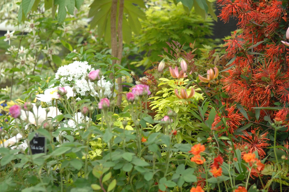 Burncoose Nurseries® tweet media