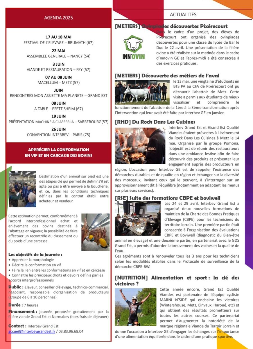 Interbev Grand Est (@interbevgdest) on Twitter photo 🚨Newsletter🚨
Tout savoir sur l'actualité de mai dans la filière 🐂 et 🥩 <a href="/regiongrandest/">Région Grand Est</a>
C'est ici et sur interbevgrandest.fr
#filière #cotisation #sécurisation #rse #rhd #nutrition #rmamp 🚨Newsletter🚨
Tout savoir sur l'actualité de mai dans la filière 🐂 et 🥩 <a href="/regiongrandest/">Région Grand Est</a>
C'est ici et sur interbevgrandest.fr
#filière #cotisation #sécurisation #rse #rhd #nutrition #rmamp